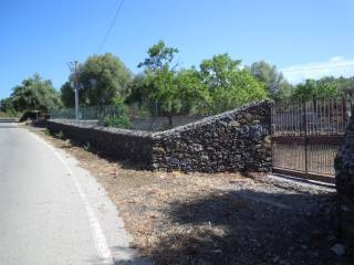 Zona