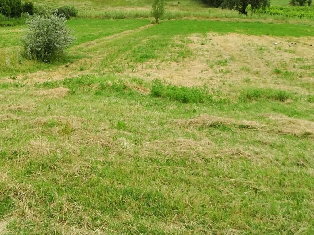 Terreno agricolo, la scala, calenzano, san miniato