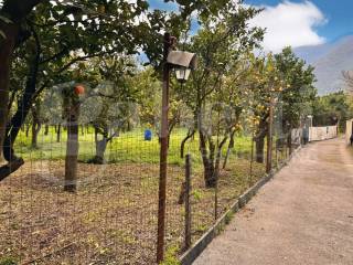 IMG_0445.jpeg