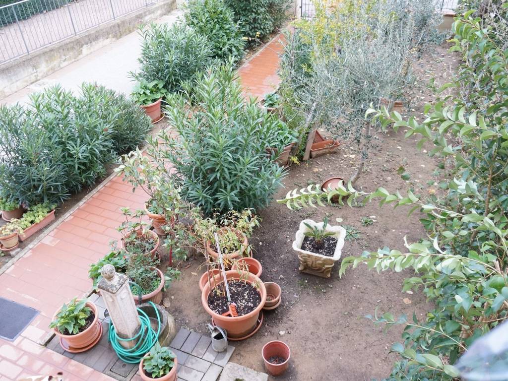 Giardino