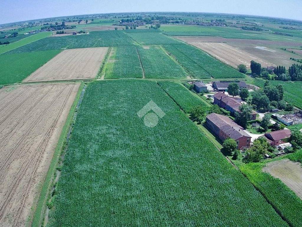 Terreno agricolo via cisa 2578, borgo virgilio