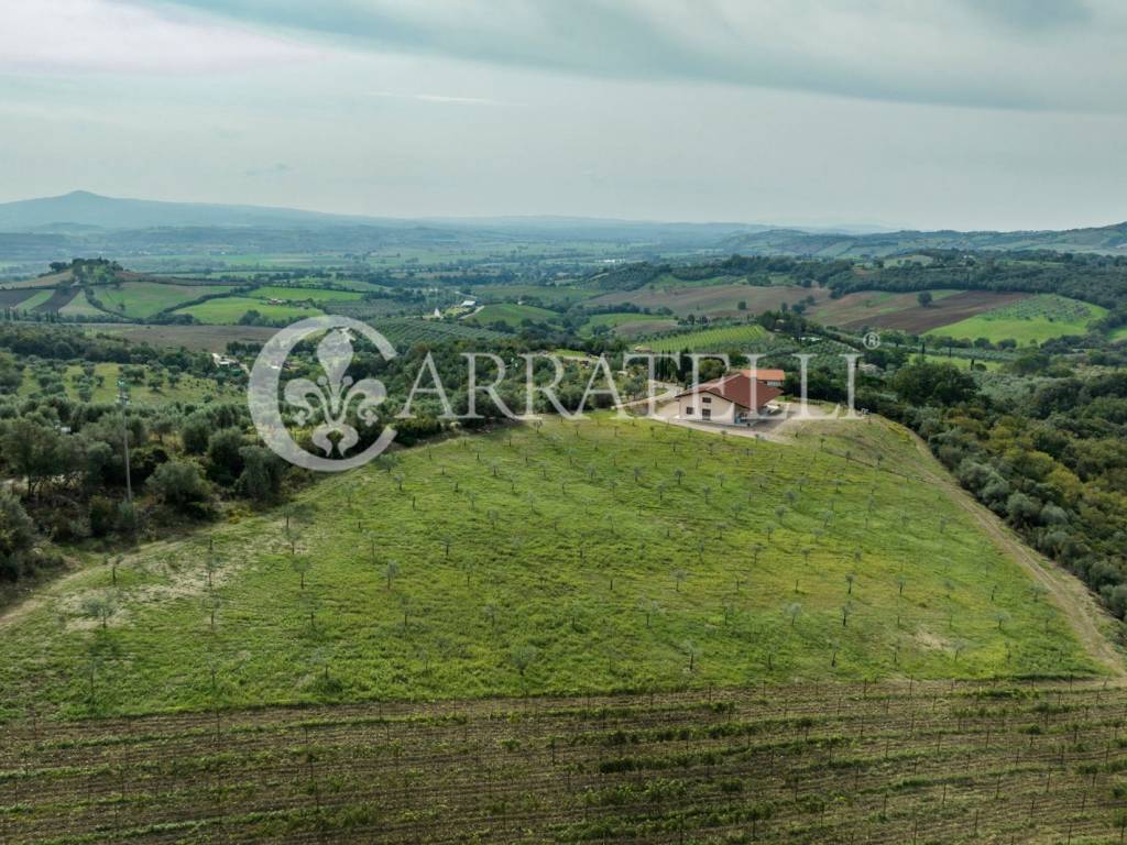 Azienda agricola strada provinciale campagnatico, campagnatico