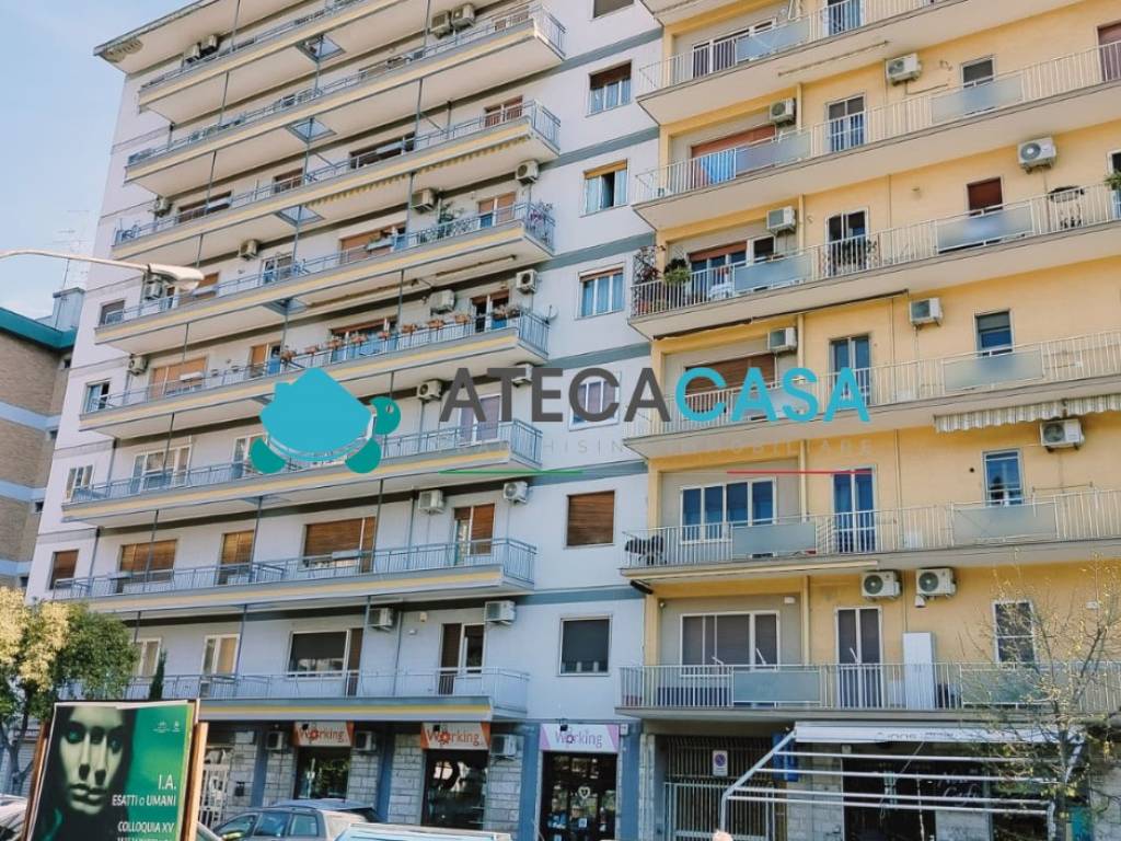 Stanza in affitto in appartamento viale cristoforo colombo 193, foggia