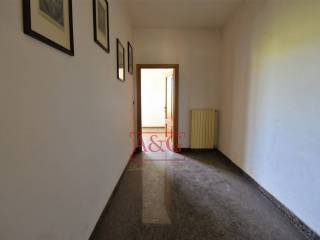 Foto 52