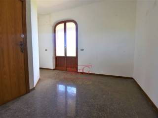 Foto 53