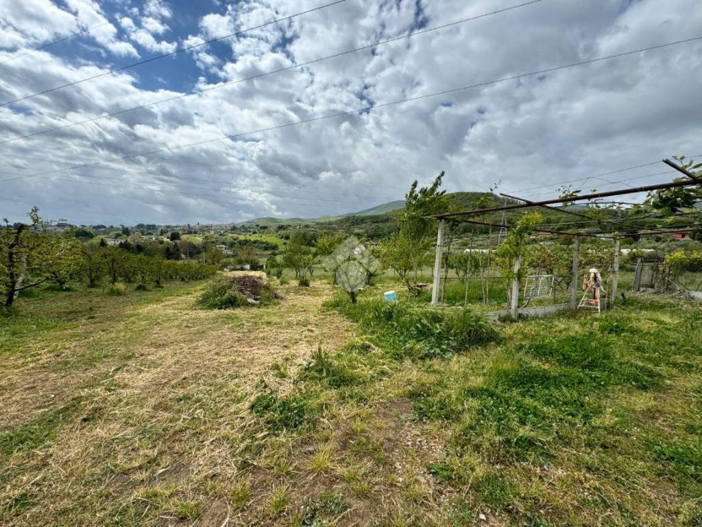 Terreno agricolo via della favetta, san cesareo