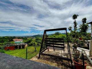 Vista