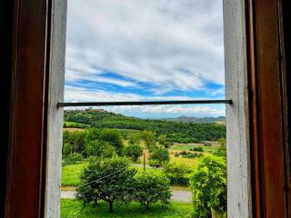 Vista