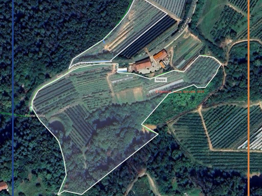 MAPPA
