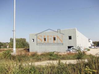 Capannone commerciale affitto grottaminarda