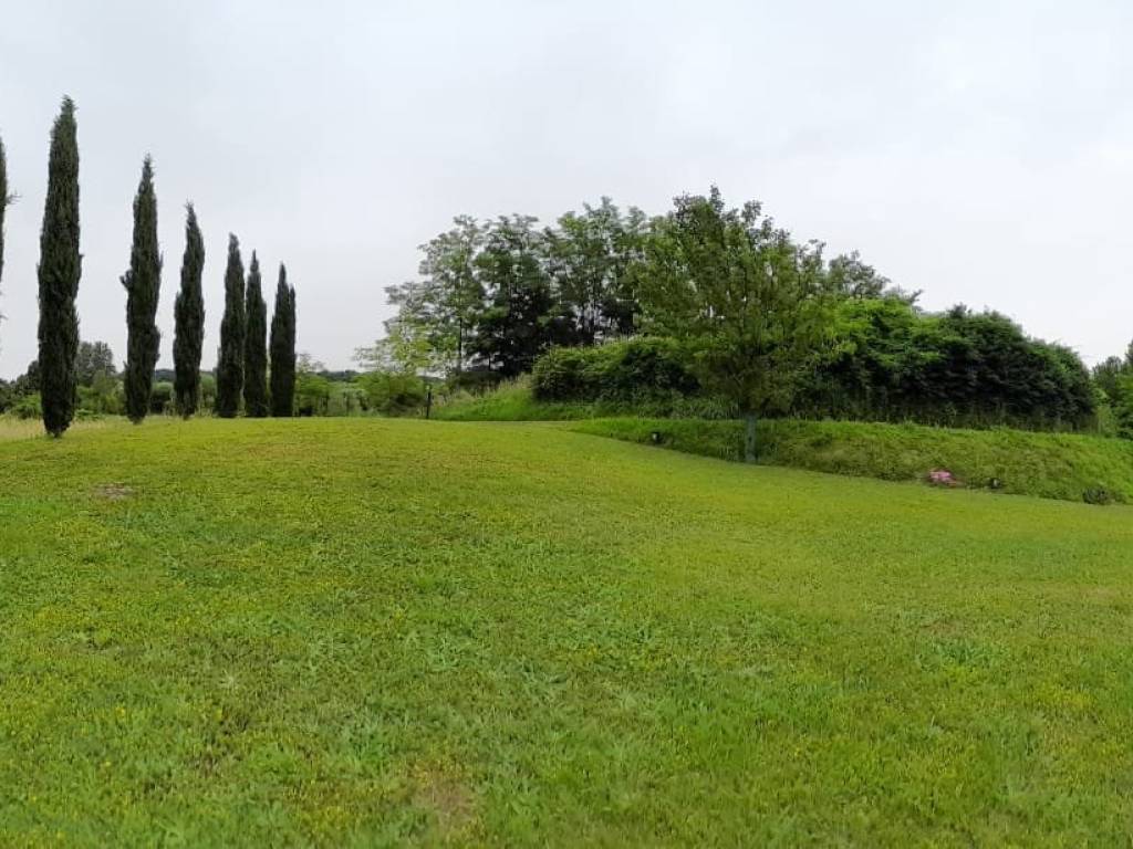 Terreno agricolo, crespina e lorenzana