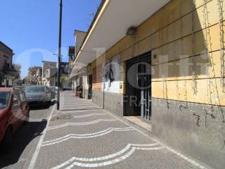 Zona