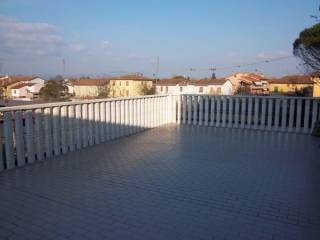 Zona
