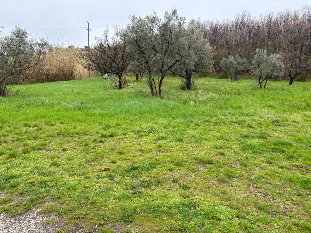 Terreno agricolo strada sammartinese, san martino al cimino - tobia, viterbo