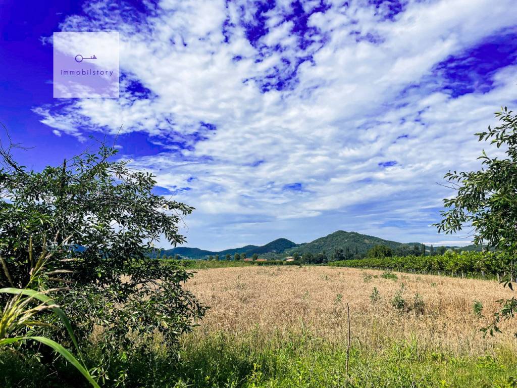 img 5305 2024 06 27 16 00 42 wmk 0