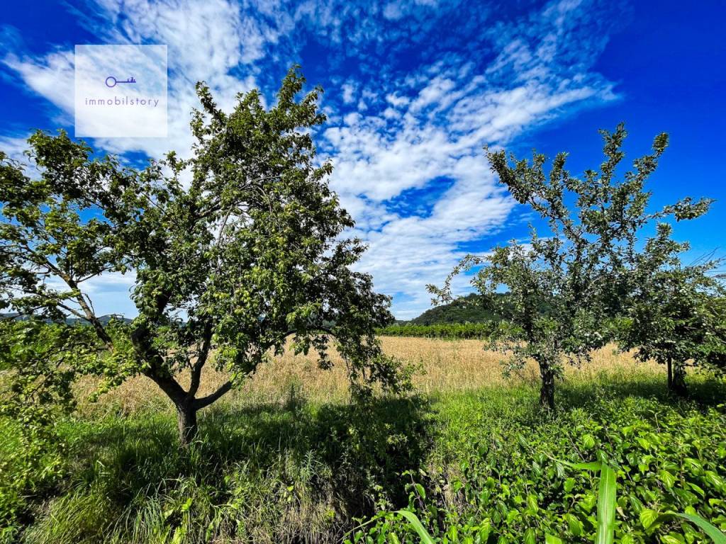 img 5310 2024 06 27 16 00 47 wmk 0