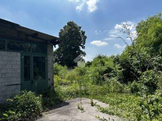 IMG_3211 (FILEminimizer)