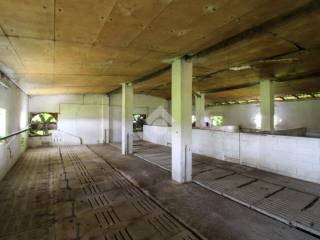 interno