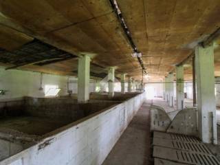 interno