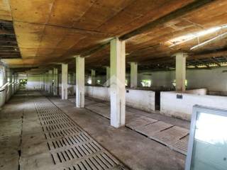 interno