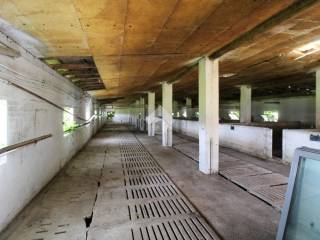 interno