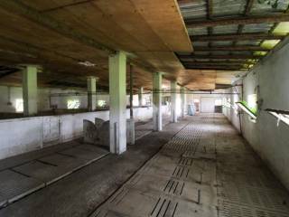 interno
