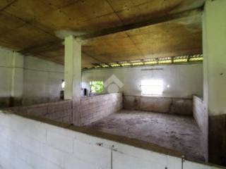 interno