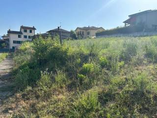 fiorentini