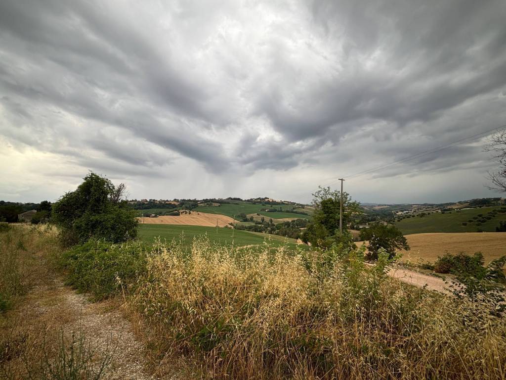 Terreno agricolo contrada montefiore 89, recanati