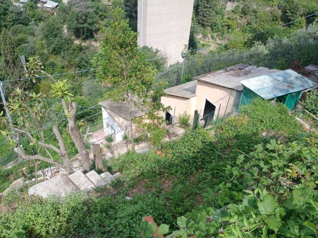 Terreno agricolo via molinetti di nervi 31, apparizione, genova