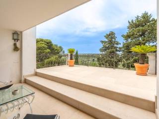 Terrazza