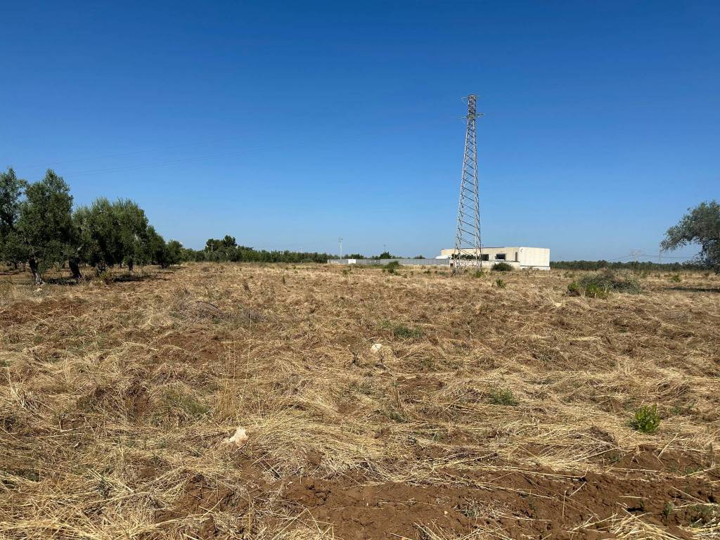 Terreno agricolo strada cacafuoco o pozzo cacò, bitritto