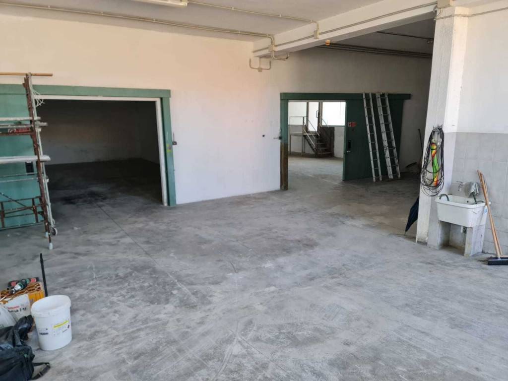 Immagine WhatsApp 2024-07-03 ore 20.52.09_3a142686