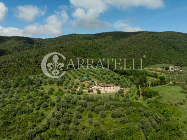 Panicale Casale con terreno e vista panoramica