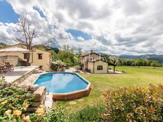 garden and pool