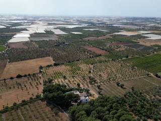 Foto drone