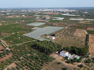 Foto drone