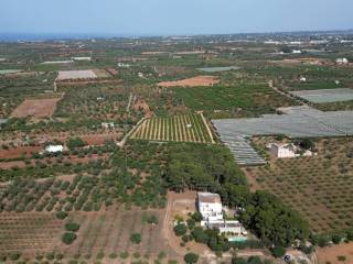 Foto drone