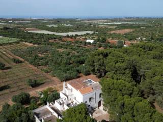 Foto drone