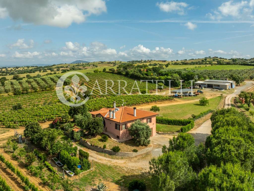 Maremma Toscana Azienda Vitivinicola con villa