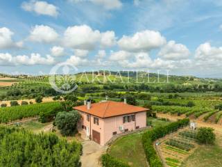 Maremma Toscana Azienda Vitivinicola con villa