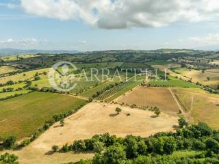 Maremma Toscana Azienda Vitivinicola con villa