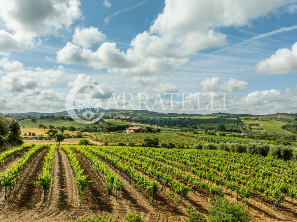 Maremma Toscana Azienda Vitivinicola con villa