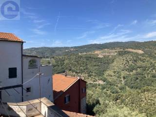 vista