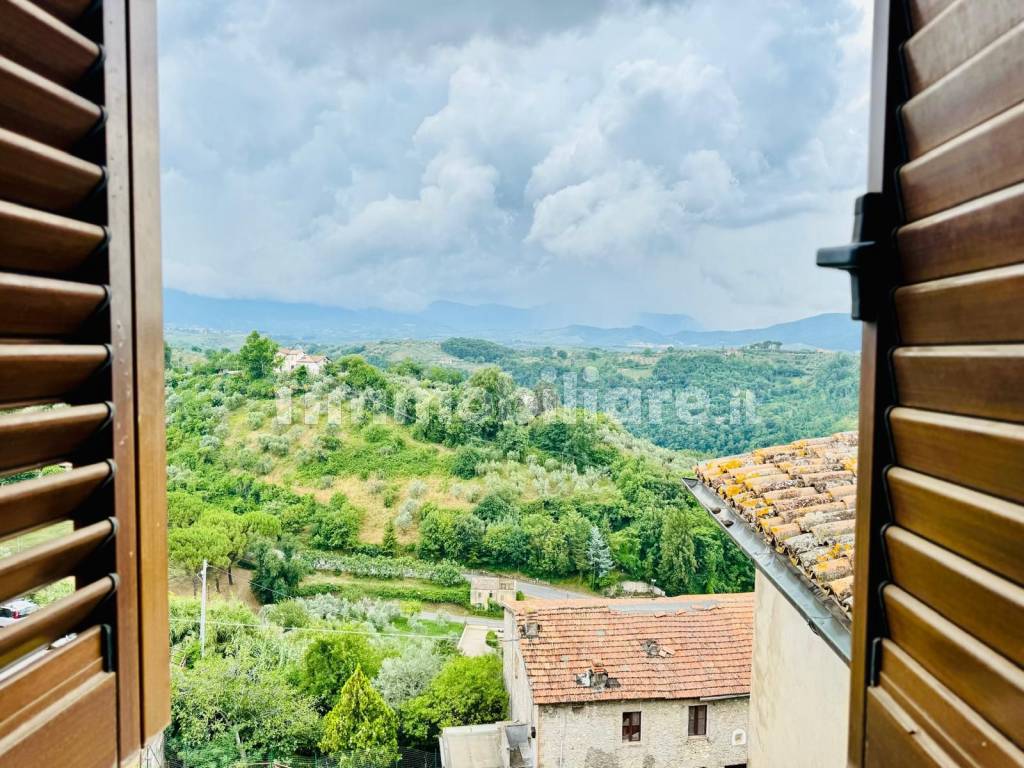 Vista
