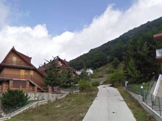 Zona