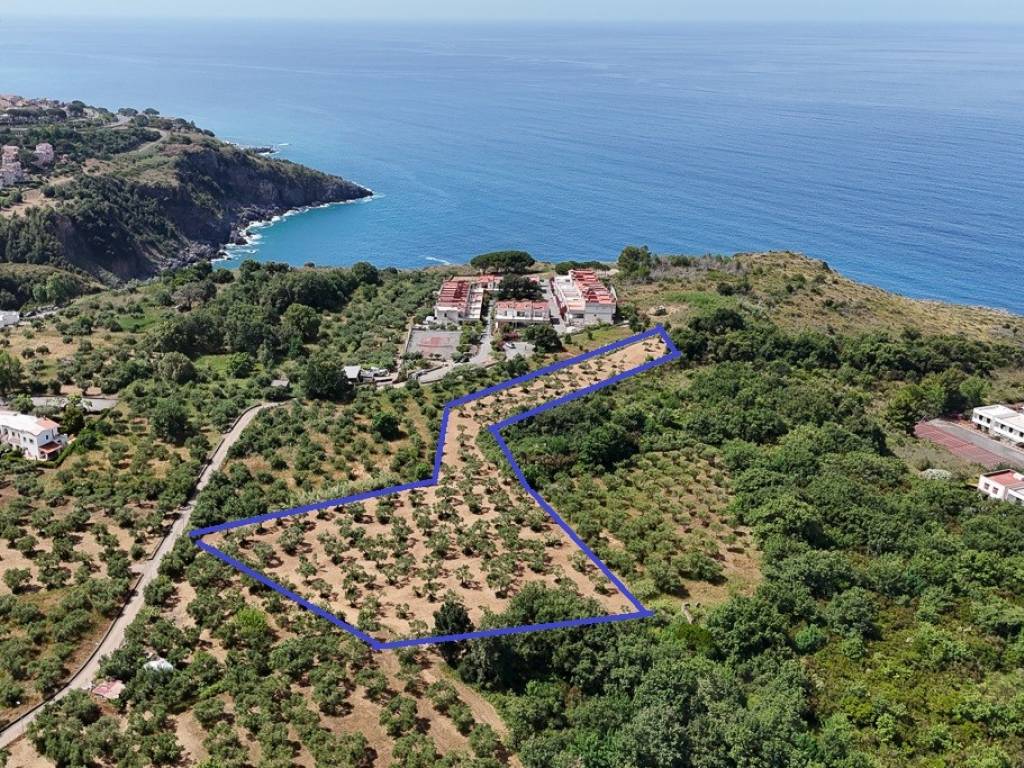 Terreno agricolo parco punta dino, san nicola arcella