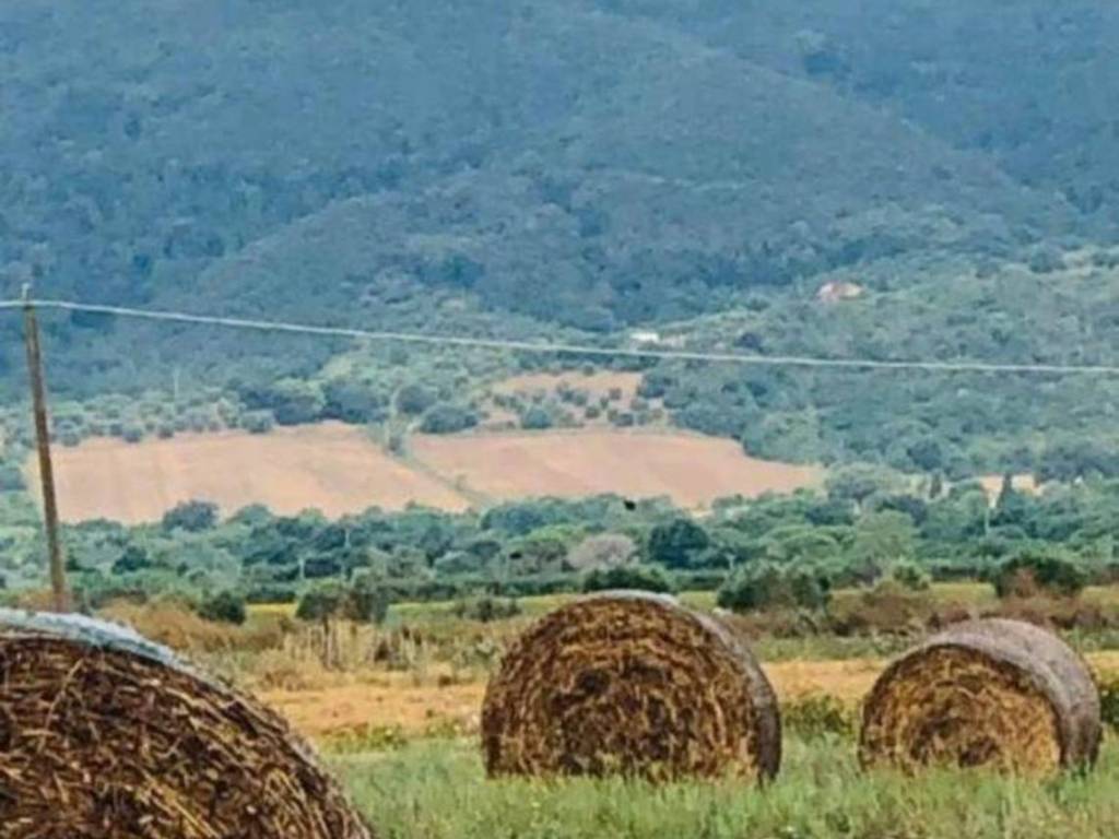 Terreno non edificabile, tirli, vetulonia, buriano, castiglione della pescaia