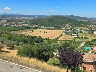 Vista