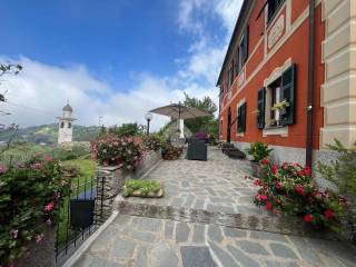 WhatsApp Image 2024-07-09 at 09.24.06